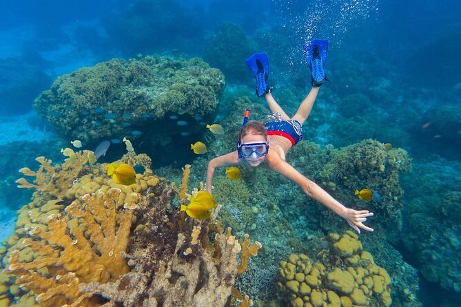 Kaan Luum Lagoon and Cenote Snorkel Tour in Tulum - What You Really Pay: $79 Plus the Reef and Cenote Fee
