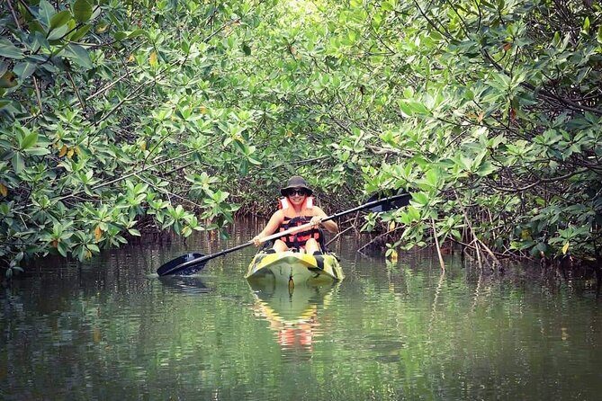 Kayak Adventure in Cancun - Into the mangroves: what happens once you’re on Laguna Nichupté