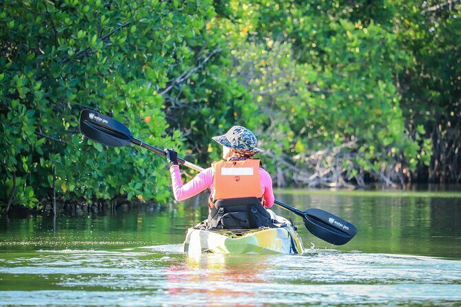 Kayak Adventure in Cancun - Price and value: what you’re really getting for $47.73