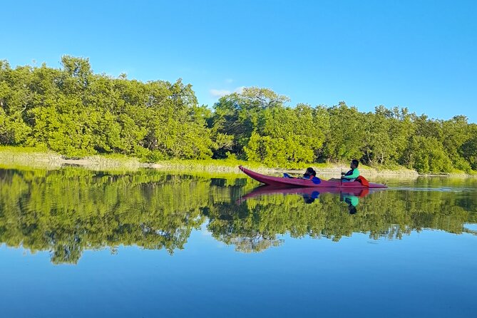 Kayak Experience in the Mangroves of Holbox Island - Equipment, Lockers, and How to Prep for Saltwater