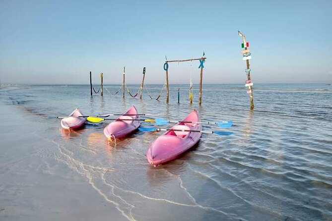 Kayak Experience in the Mangroves of Holbox Island - Guide Style: What Makes It Feel Worth the Time