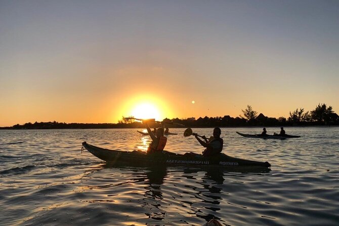 Kayak Mangroves Sunrise Experience - The mangrove labyrinth: how the paddle actually feels