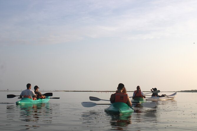 Kayak Mangroves Sunrise Experience - Stop-by-stop: what happens during the 3 hours