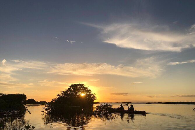 Kayak Sian Ka’an Experience - Key highlights you’ll feel right away