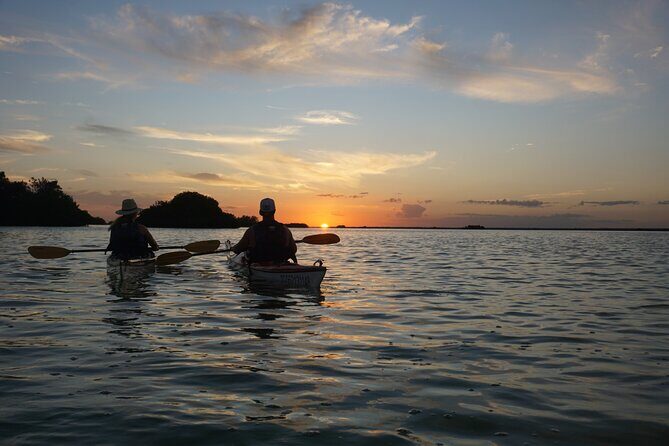 Kayak Sian Ka’an Experience - Guides who name what you’re seeing, including Antonio, Ernesto, and Ricardo