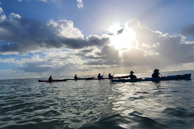 Kayak Sian Ka’an Experience - 1.5 to 3 hours: the route is shaped by your pace