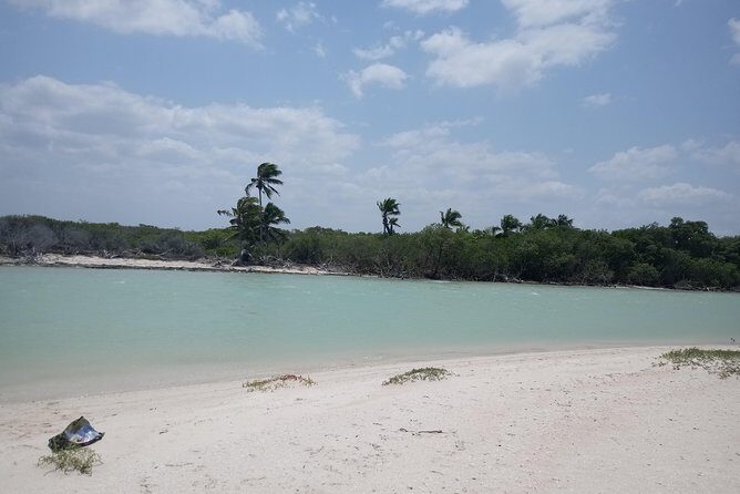 kayak through mangroves to secret beach - From Chuburna Beach Into the Mangroves: What Your First Paddling Stretch Feels Like