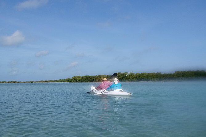 kayak through mangroves to secret beach - The Secret Beach Finish: Why the Landing Matters More Than You Think
