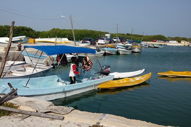 kayak through mangroves to secret beach - Four Hours of Adventure, Then a Free Day: How to Use Your Time in Mérida