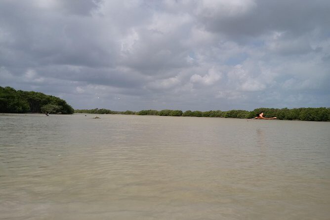 kayak through mangroves to secret beach - Price and Value: Is $195 Worth It for a Private Mangrove Tour?