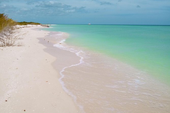 kayak through mangroves to secret beach - What to Consider Before You Go: Weather, Fitness, and Comfort