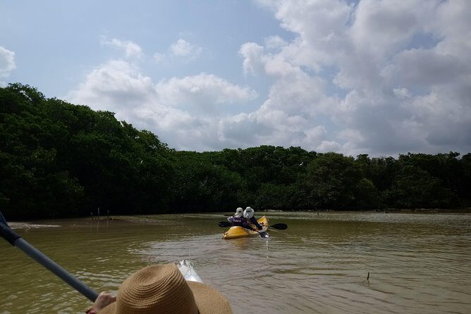 kayak through mangroves to secret beach - Getting There From Mérida: Airport Meeting Point and Pickup That Saves Time