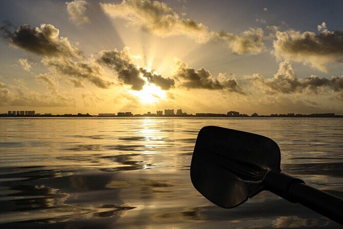 Kayak Tour at Sunset in Cancun - Wildlife and views: what you’re likely to spot (and why it’s not random)