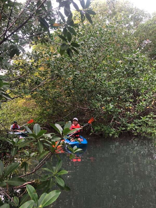 Kayak Tour in Cancun with Photos included - Who should book this kayak sunset tour (and who should skip it)