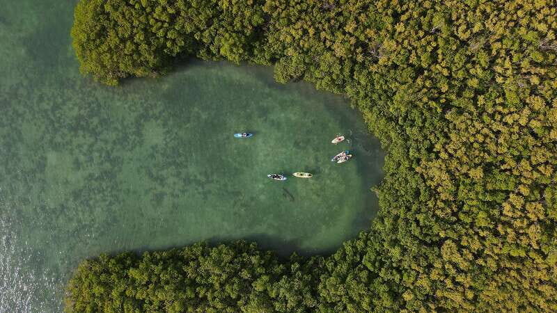 Kayak Tour in Cancun with Photos included - Marina Kaybal: The quick logistics before your 2.5-hour outing