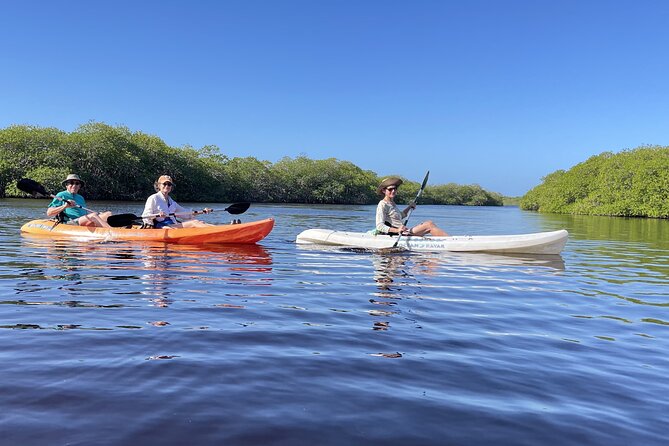 Kayaking in the Mangroves Experience - Guide Victor: Friendly, Practical, and Community-Minded