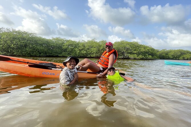 Kayaking in the Mangroves Experience - Transportation and Timing: Your 5-Hour Plan in Real Life