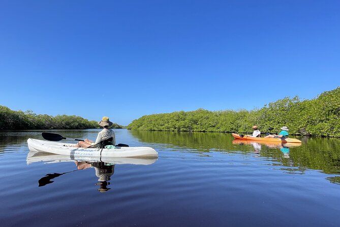 Kayaking in the Mangroves Experience - Kayaking Into a Pristine Mangrove Forest