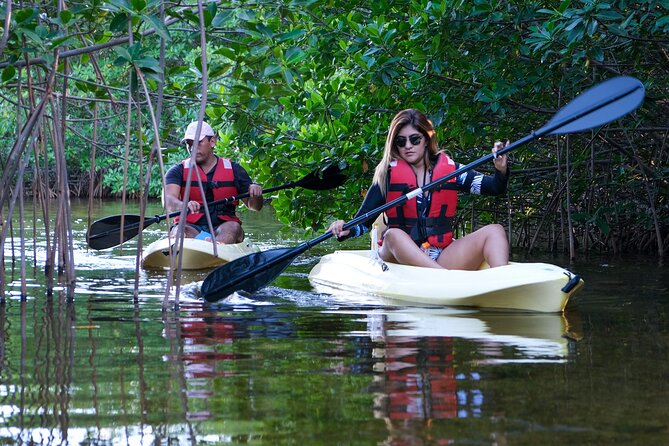 Kayaking Tour in Cancun - Why Nichupté Lagoon Kayaking Feels Like the Real Cancun
