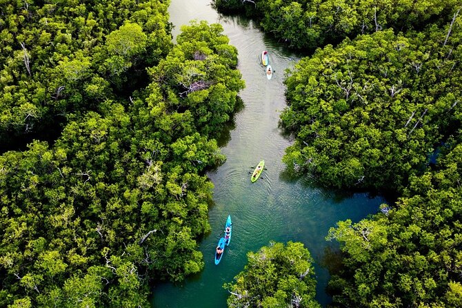 Kayaking Tour in Cancun - Gear and Included Fees: Where the Value Actually Shows Up