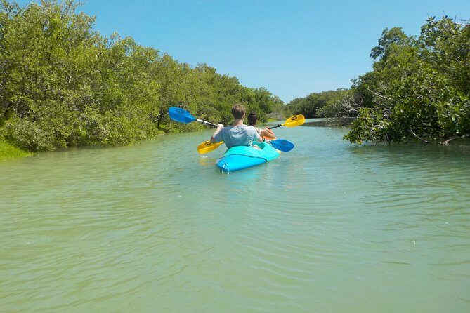 Kayaking Tour Through the Mangroves in Isla Holbox - Mangroves Off Holbox: Why This Kayak Route Is Worth 3 Hours