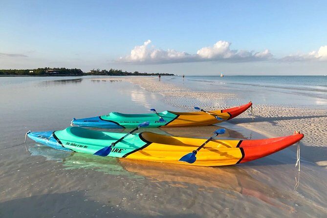 Kayaking Tour Through the Mangroves in Isla Holbox - First Paddle Block: Glide Through Calm Channels and Bird Calls