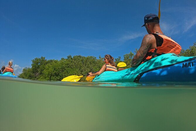 Kayaking Tour Through the Mangroves in Isla Holbox - Wildlife Odds: Crocodiles, Flamingos, and the Bird Show