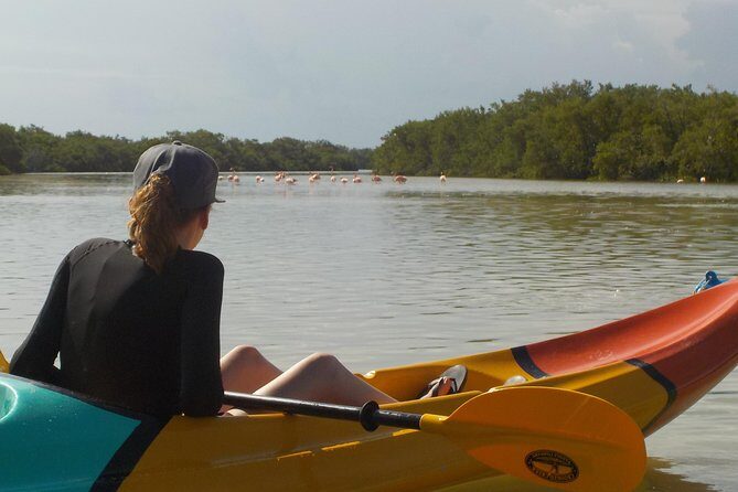 Kayaking Tour Through the Mangroves in Isla Holbox - Price and Value: Is $50.78 a Good Deal for 3 Hours?