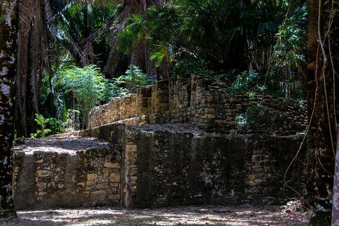 Kohunlich Mayan Ruins Private Shore Excursion - Practical tips for meeting up in Mahahual