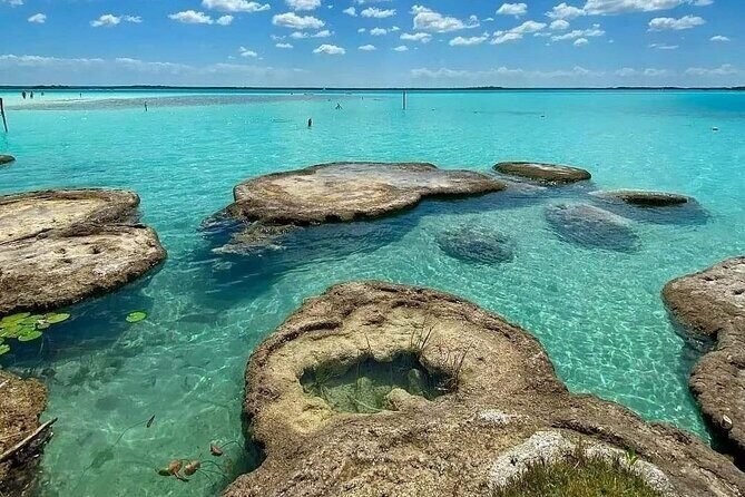 Lagoon of 7 colors from Costa Maya - Boat Tour and transportation - Isla de los Pájaros: birdwatching in a short, photo-friendly window