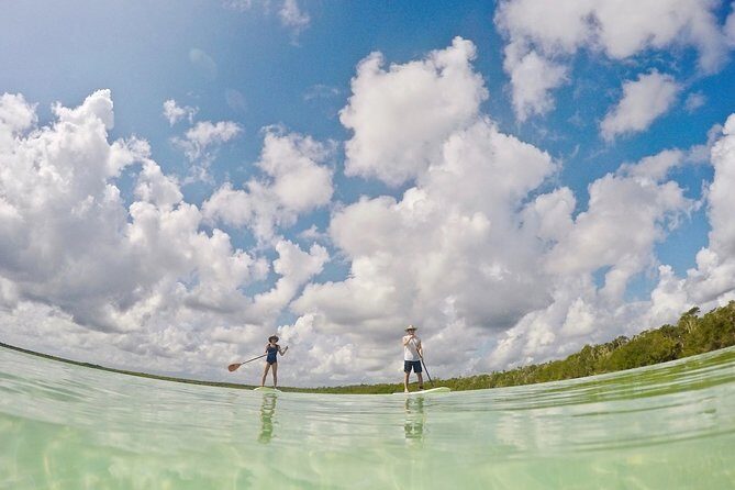 Lagoon Paddleboarding Tour in Tulum - Who This SUP Tour Fits Best (Beginners and Beyond)