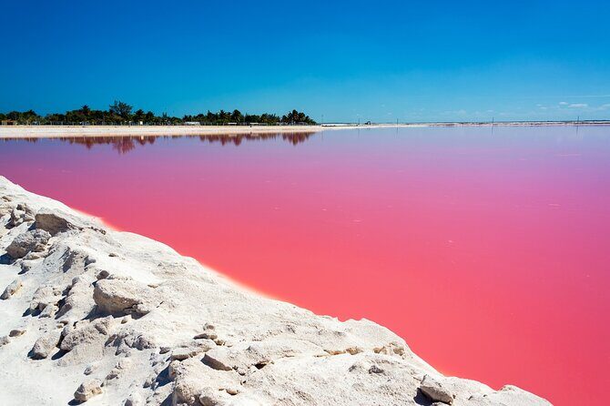Las Coloradas and Rio Lagartos Tour with All Inclusive - Food and drinks: what’s covered in the all-inclusive day