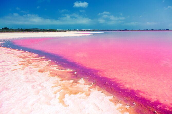 Las Coloradas and Rio Lagartos Tour with All Inclusive - Who should book this Las Coloradas and Rio Lagartos day trip