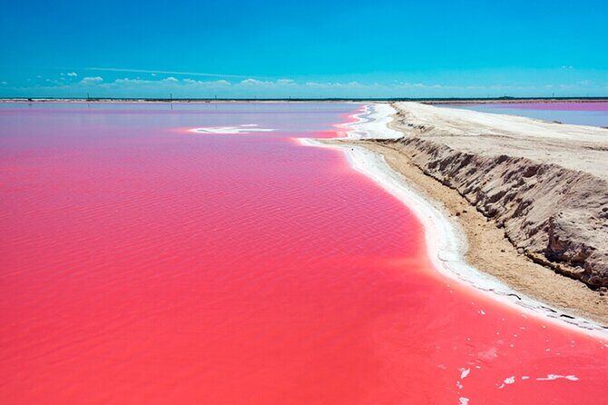Las Coloradas and Rio Lagartos Tour with All Inclusive - Las Coloradas pink lagoons: microorganisms, salt, and the Mayan-style mud bath