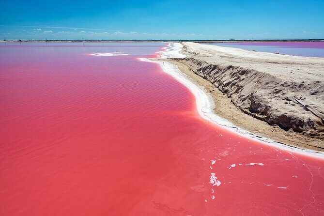 Las Coloradas Pink Lake & Rio Lagartos Guided Tour - Key things to know before you go