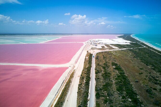 Las Coloradas Pink Lake & Rio Lagartos Guided Tour - Price and value: what $144 buys (and what it doesn’t)