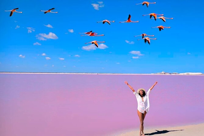 Las Coloradas Pink Lakes & Río Lagartos Wildlife Tour - Why Las Coloradas and Rio Lagartos work so well together