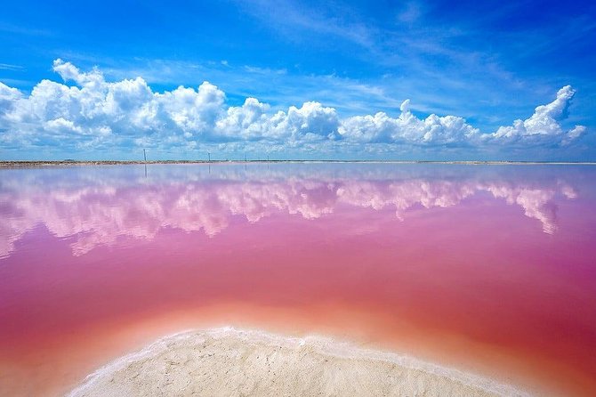 Las Coloradas Pink Lakes & Río Lagartos Wildlife Tour - Wildlife encounters you can actually plan around