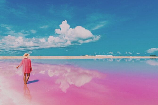 Las Coloradas Pink Lakes & Río Lagartos Wildlife Tour - Las Coloradas Pink Lakes: pink water and the salt story