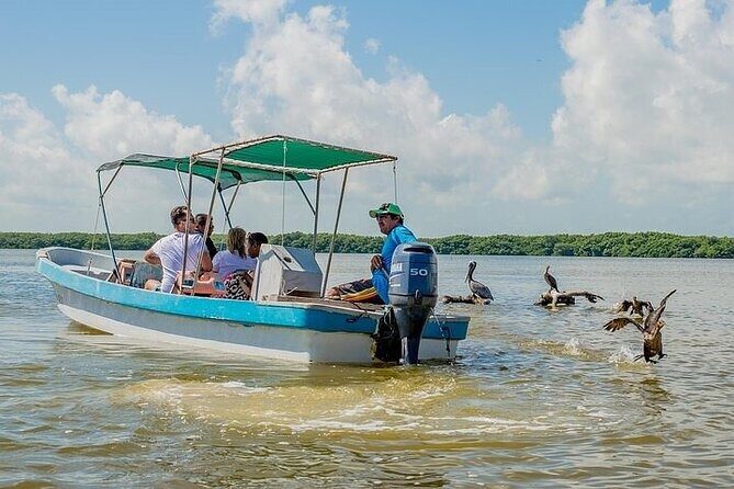 Las Coloradas & Rio Lagartos Biosphere! Transportation from Playa Del Carmen - What to pack (and how to avoid the common mistakes)