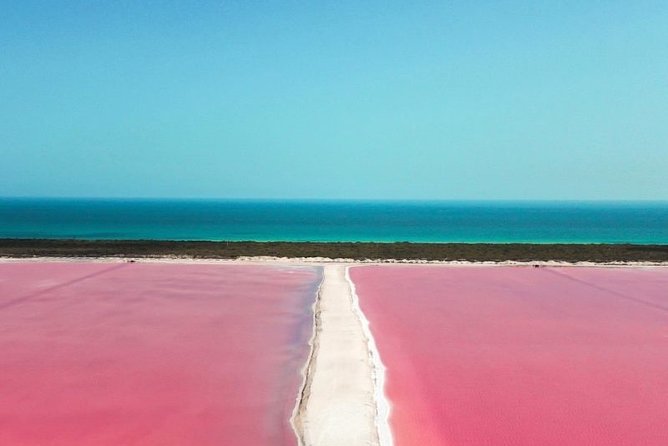 Las Coloradas Tour from Cancun and Playa del Carmen - Río Lagartos Biosphere boat ride: where wildlife is the main event