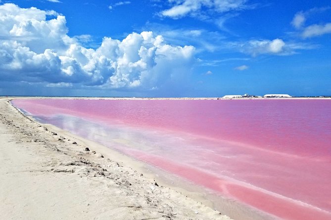 Las Coloradas Tour from Cancun and Playa del Carmen - Crocodile conservation center: see the work behind the photos