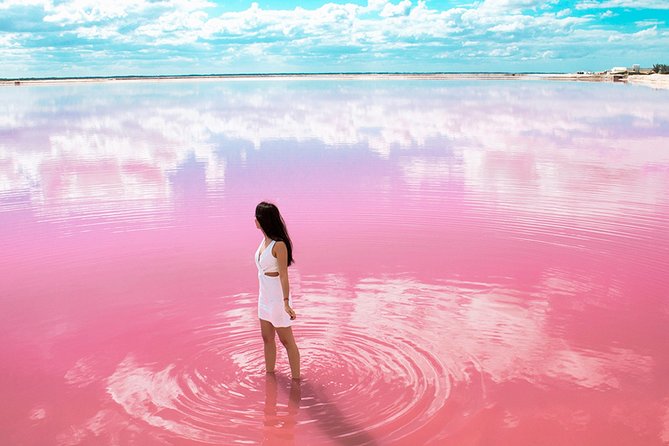 Las Coloradas Tour from Cancun and Playa del Carmen - What “good guidance” looks like on this tour