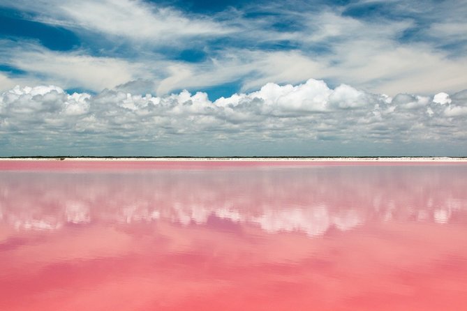 Las Coloradas Tour from Cancun and Playa del Carmen - Pickup and transport: smoother than you’d expect from a 13-hour day