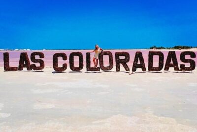 Las Coloradas Tour to Pink Lakes and Wildlife Wonders - Río Lagartos mangroves: 2 hours of flamingos, birds, and crocodiles