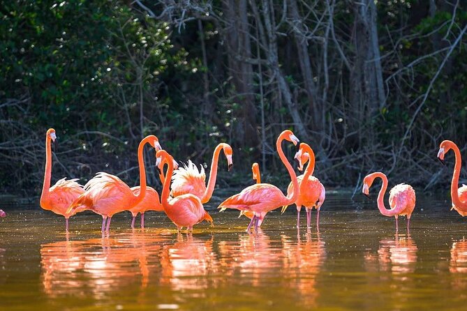 Las Coloradas Tour to Pink Lakes and Wildlife Wonders - Group size and guide style: why the day feels organized