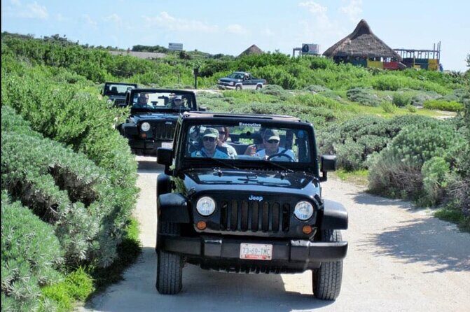 Last Minute Tour : Cozumel to Your Rhythm by Private Buggy - The 3-Hour Route: Beaches, Viewpoints, and Photo Stops