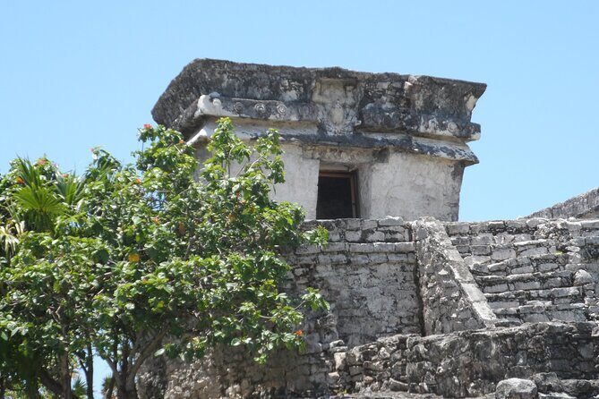 LDS Tour to Tulum Ruins + Cenote - Book It or Skip It