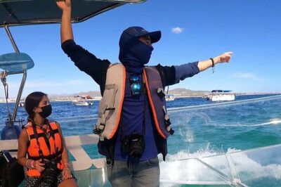 Live Cancun from our Transparent Boat - What You Get on the Water: Drinks, Time, and Group Size