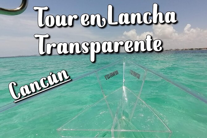 Live Cancun from our Transparent Boat - Photos, Fish, and Setting Expectations